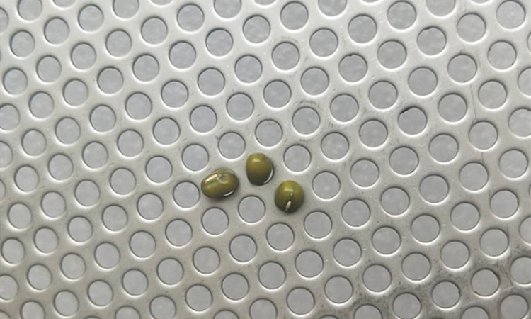 冷軋板圓孔網產品展示